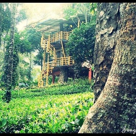 Jungle Jive Treehouse And Farm House Munnar Buitenkant foto