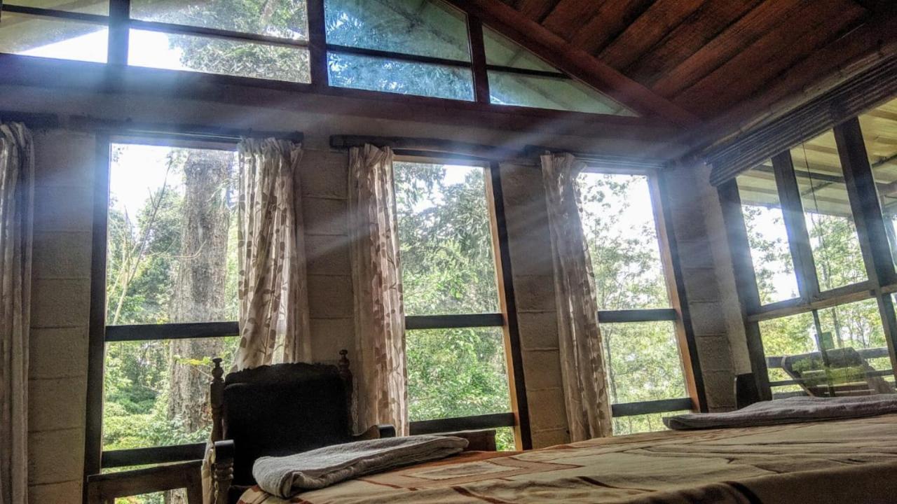 Jungle Jive Treehouse And Farm House Munnar Buitenkant foto