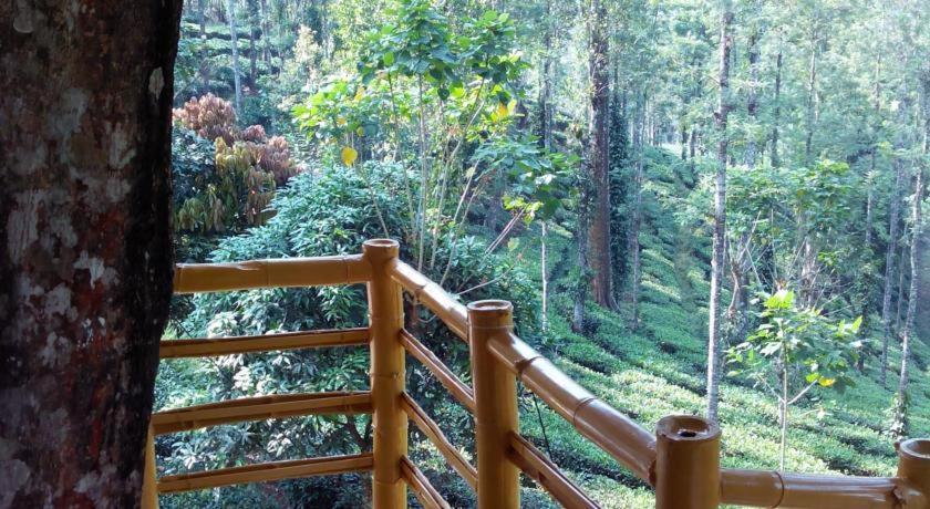 Jungle Jive Treehouse And Farm House Munnar Buitenkant foto