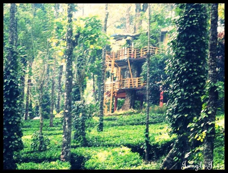 Jungle Jive Treehouse And Farm House Munnar Buitenkant foto