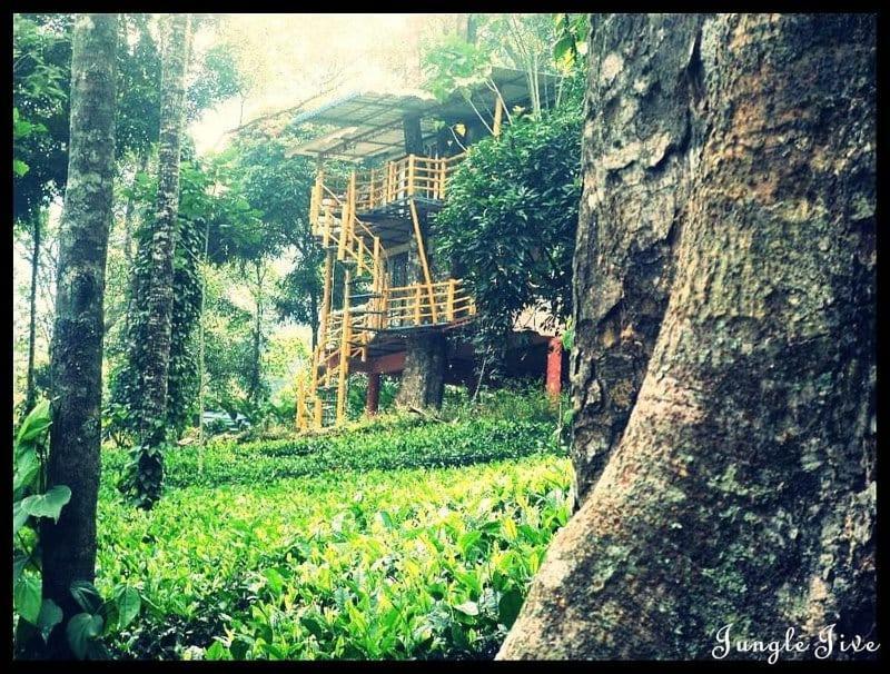 Jungle Jive Treehouse And Farm House Munnar Buitenkant foto