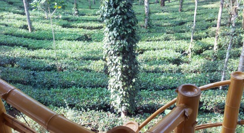 Jungle Jive Treehouse And Farm House Munnar Buitenkant foto