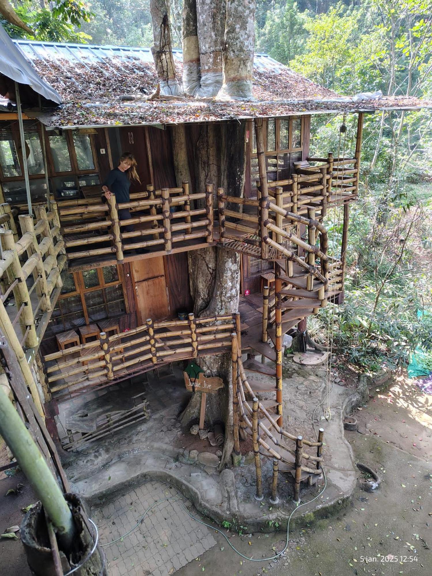 Jungle Jive Treehouse And Farm House Munnar Buitenkant foto