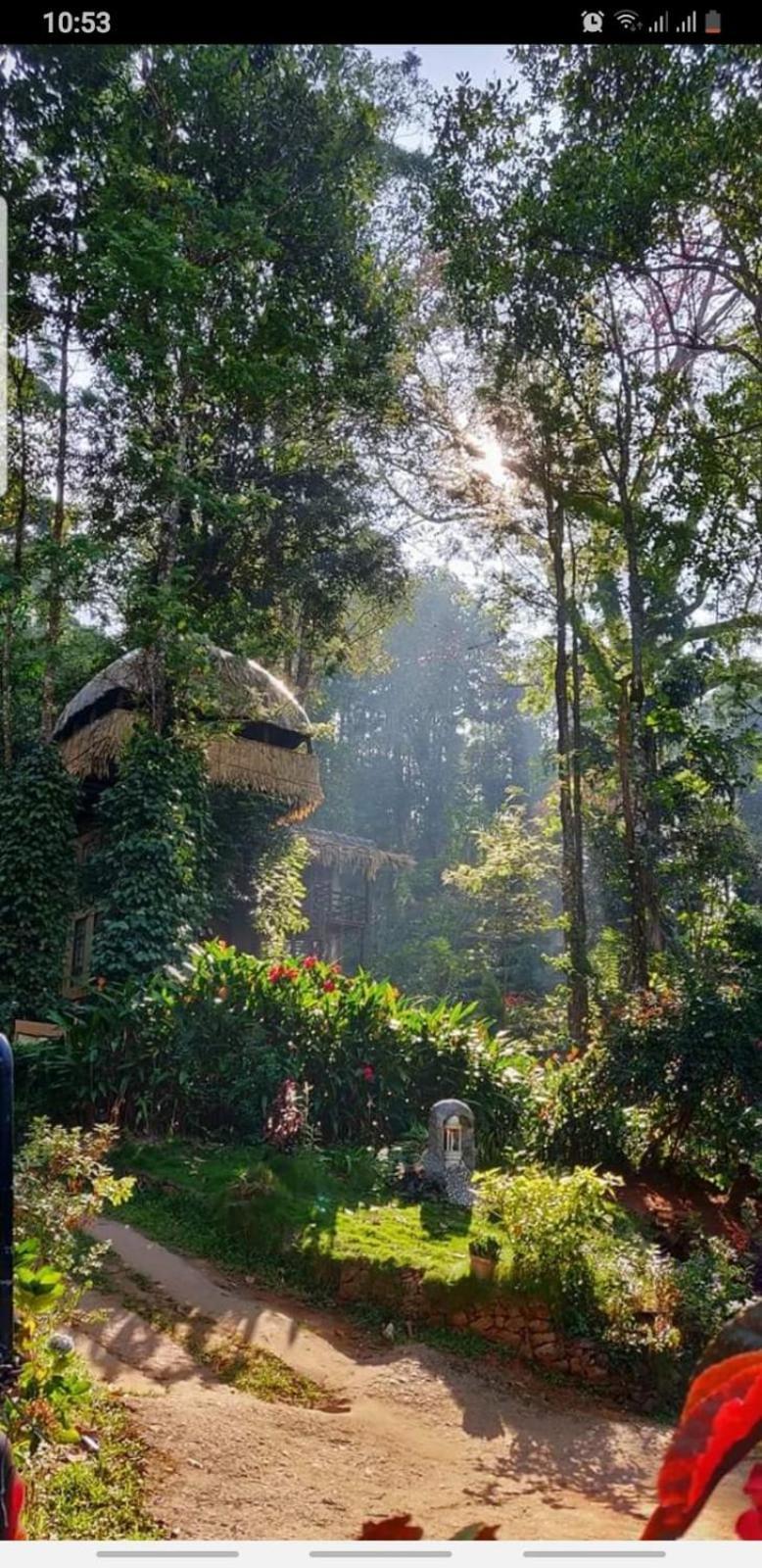 Jungle Jive Treehouse And Farm House Munnar Buitenkant foto