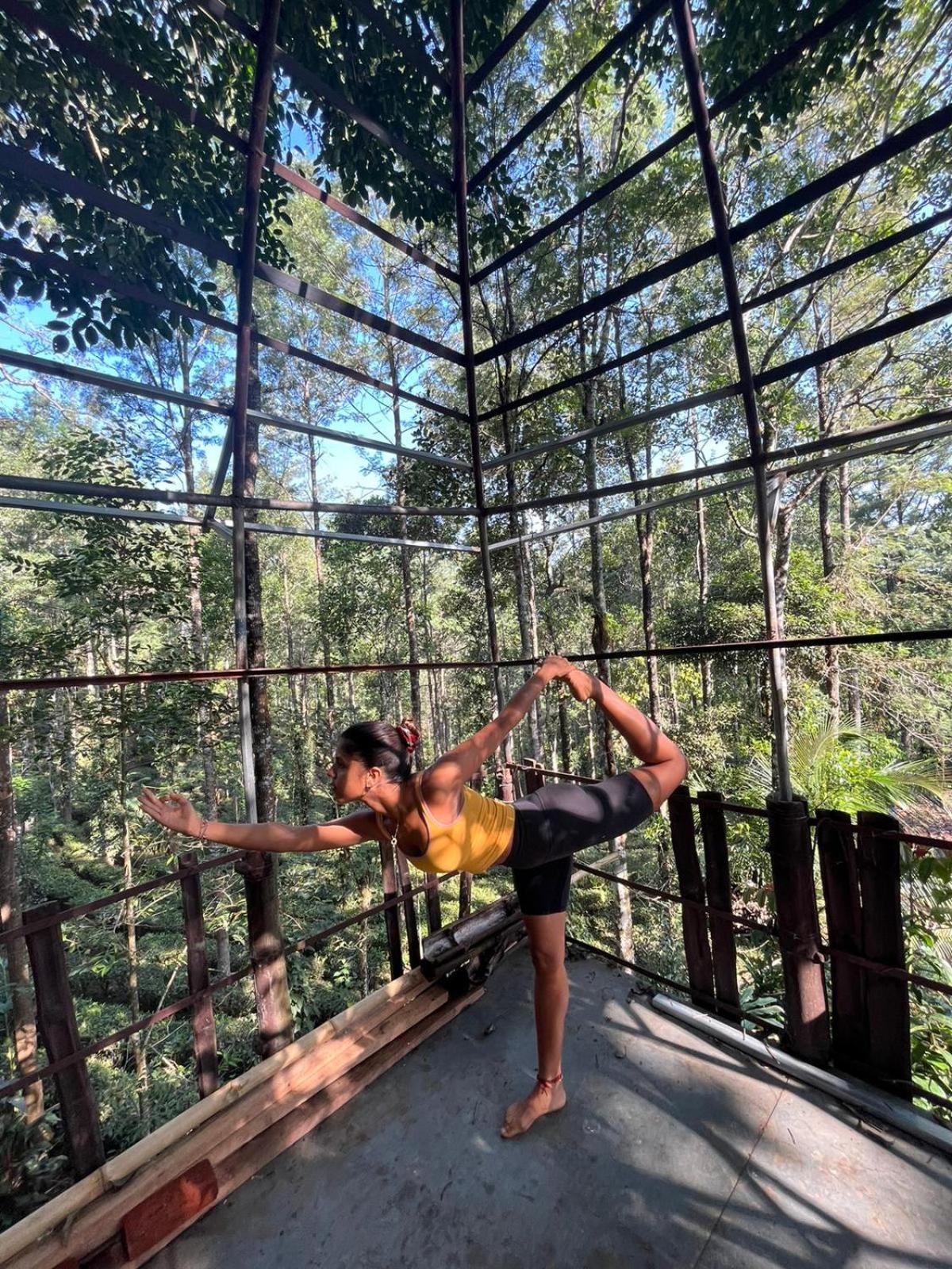 Jungle Jive Treehouse And Farm House Munnar Buitenkant foto
